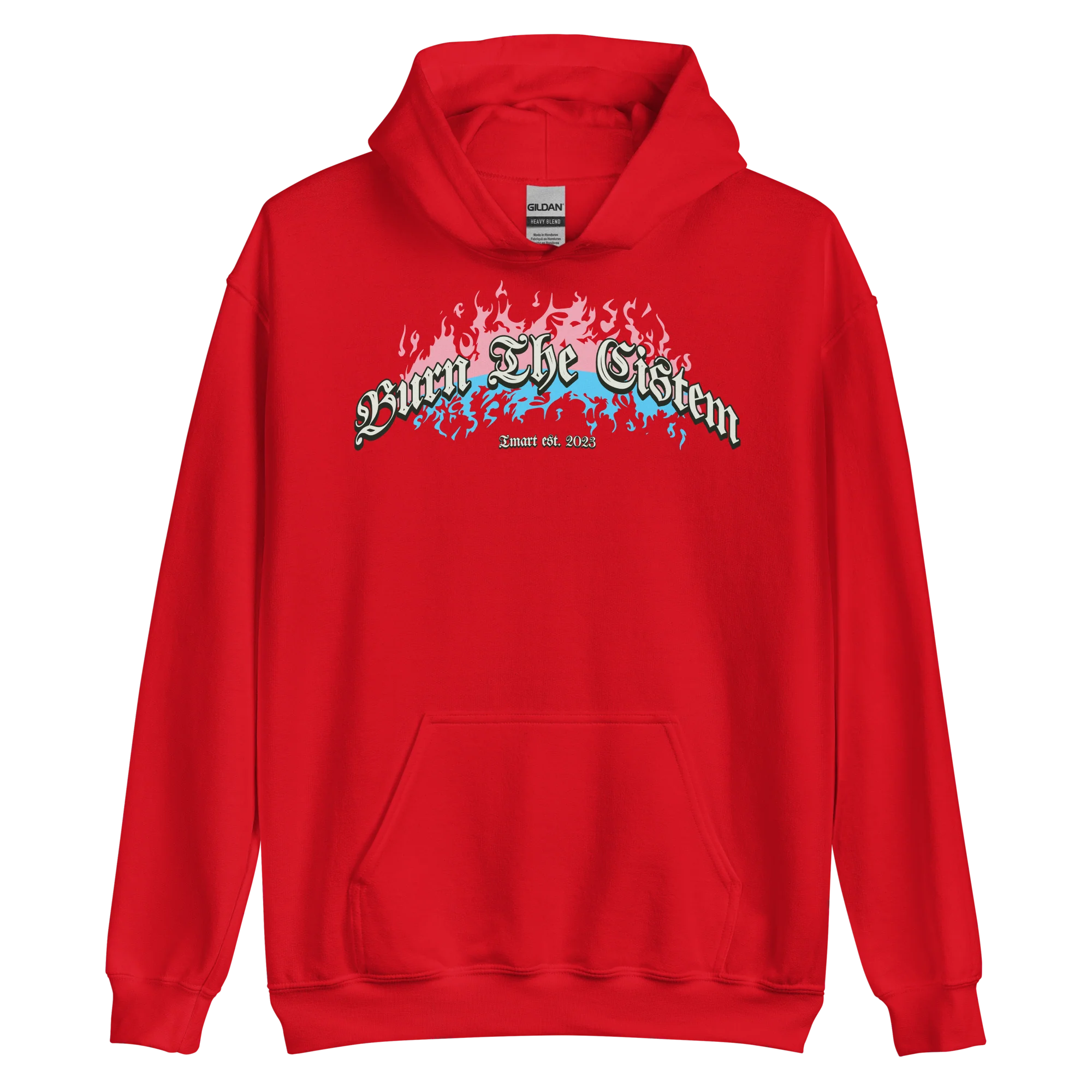 Burn the Cistem Hoodie - Image 4
