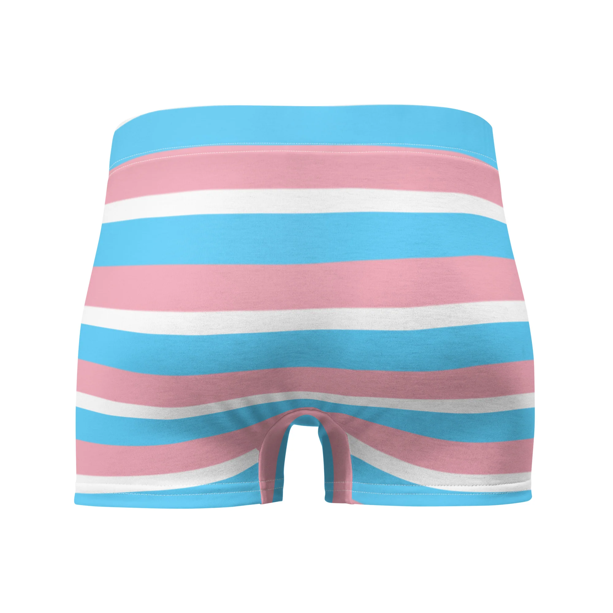 Trans Flag Boxer Briefs - Image 2
